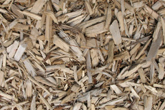 biomass boilers Frolesworth